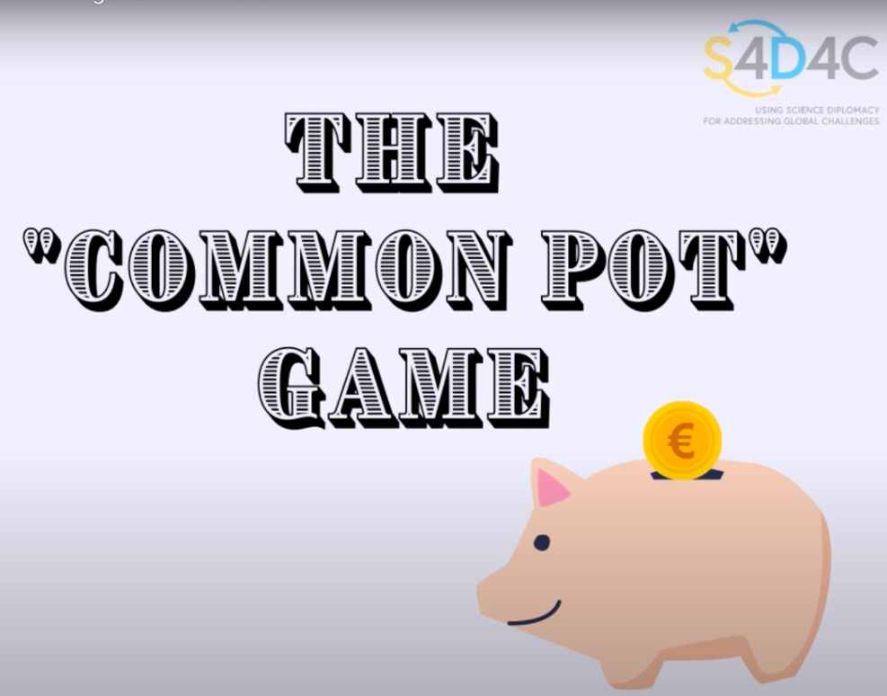 Simulation Game on Joint programming: The 'Common pot' game